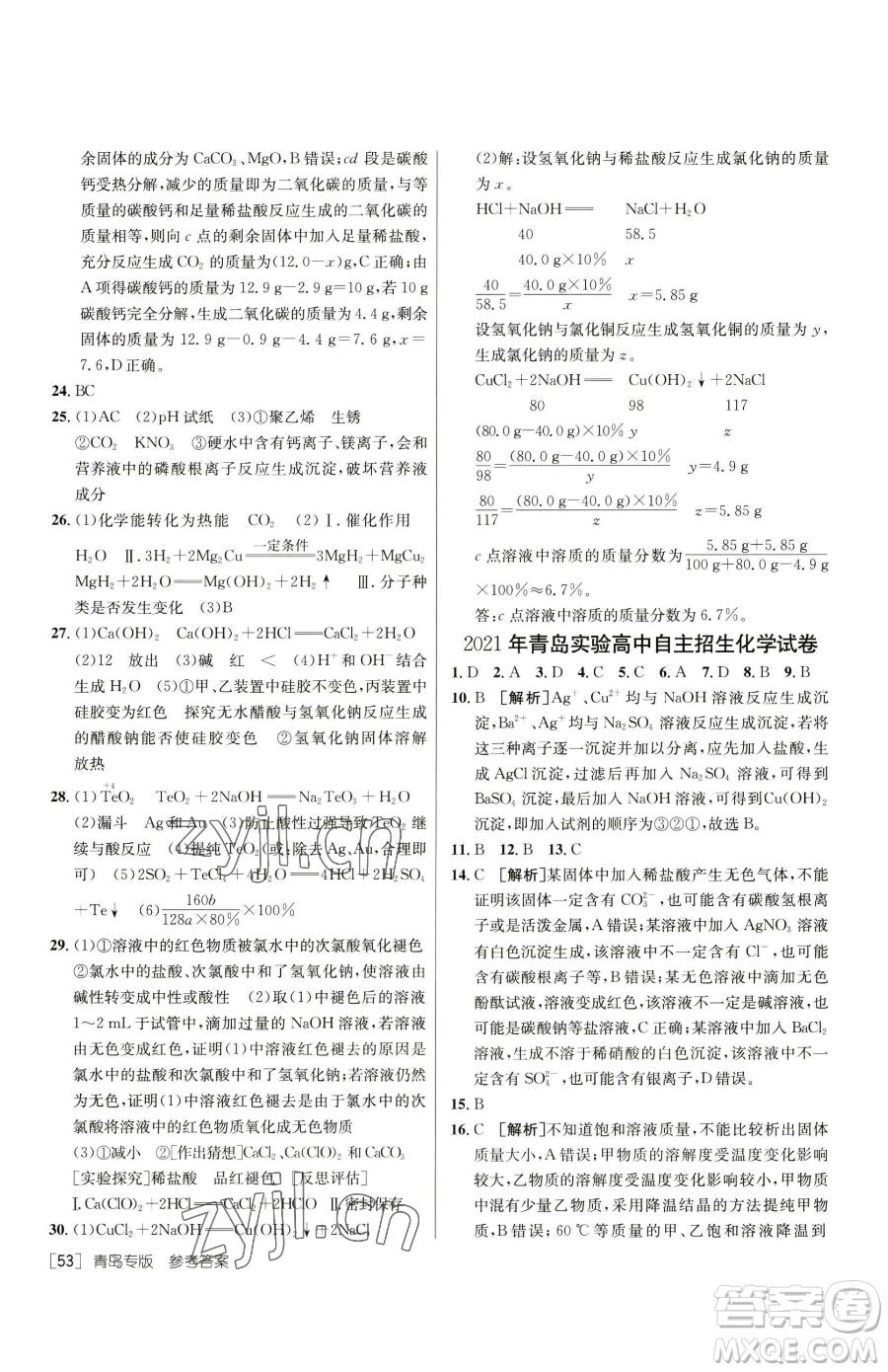 新疆青少年出版社2023升學(xué)錦囊九年級(jí)全一冊(cè)化學(xué)青島專(zhuān)版參考答案