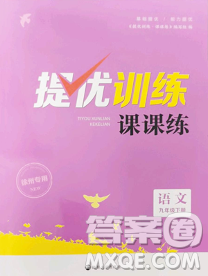 南京大學(xué)出版社2023提優(yōu)訓(xùn)練課課練九年級下冊語文人教版徐州專版參考答案