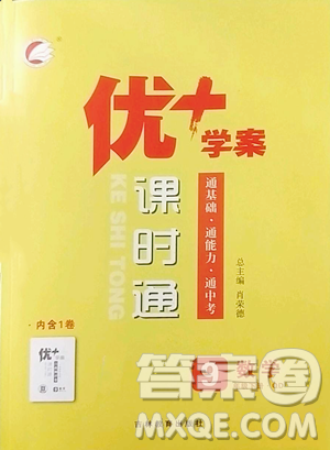吉林教育出版社2023優(yōu)+學(xué)案課時(shí)通九年級(jí)下冊(cè)數(shù)學(xué)青島版參考答案