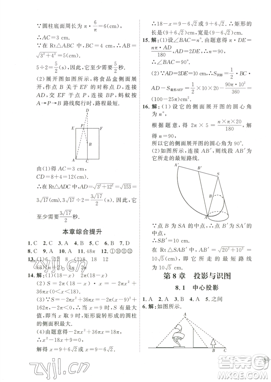 延邊教育出版社2023優(yōu)+學(xué)案課時(shí)通九年級(jí)下冊(cè)數(shù)學(xué)青島版濰坊專版參考答案
