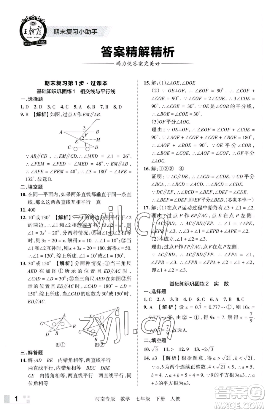 江西人民出版社2023王朝霞各地期末試卷精選七年級(jí)下冊(cè)數(shù)學(xué)人教版河南專版參考答案