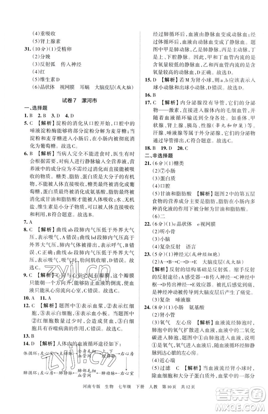 江西人民出版社2023王朝霞各地期末試卷精選七年級(jí)下冊(cè)生物人教版河南專版參考答案