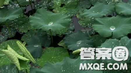 我愛夏天的___為題作文400字 關(guān)于我愛夏天的___為題作文400字