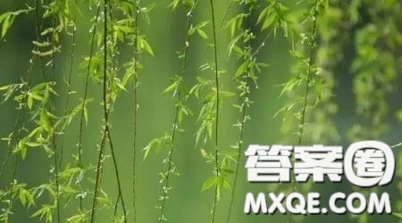 最美的遇見作文600字 關于最美的遇見為題作文600字