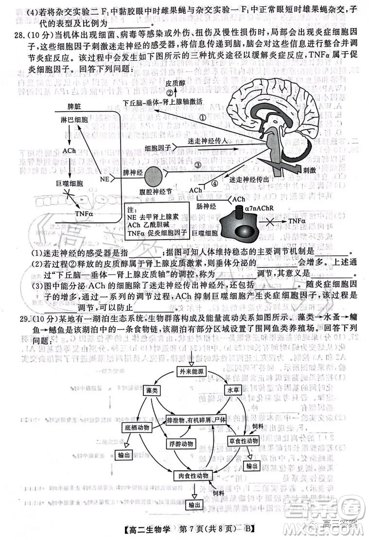2023年春季學期高二年級7月質量檢測生物試卷答案