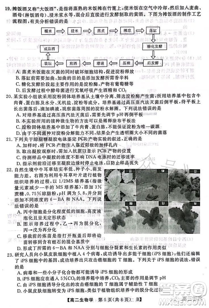 2023年春季學期高二年級7月質量檢測生物試卷答案
