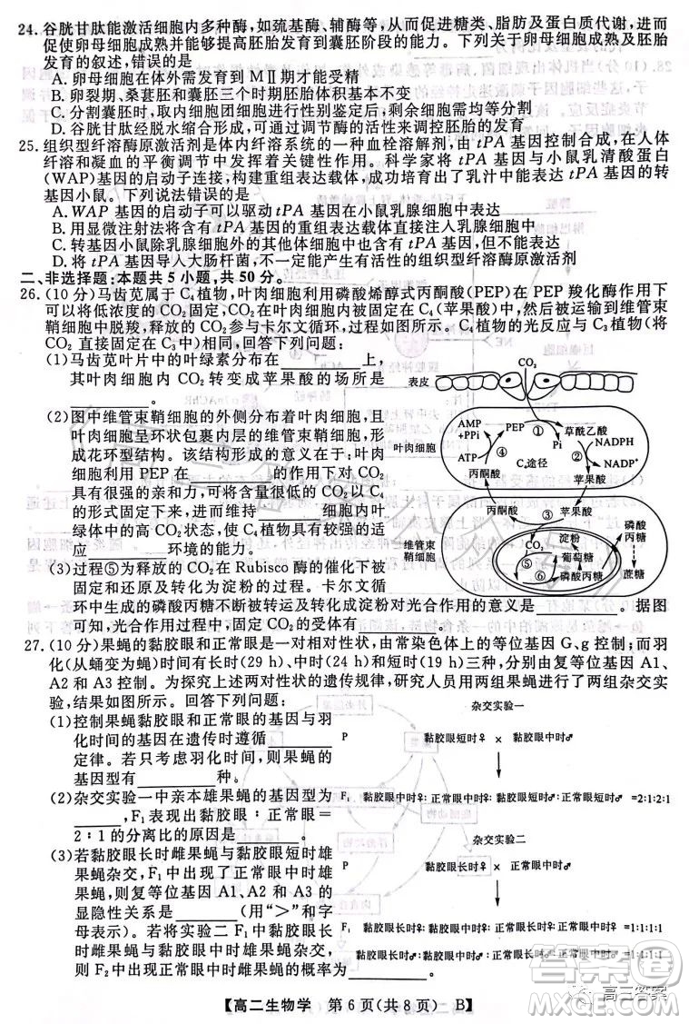 2023年春季學期高二年級7月質量檢測生物試卷答案
