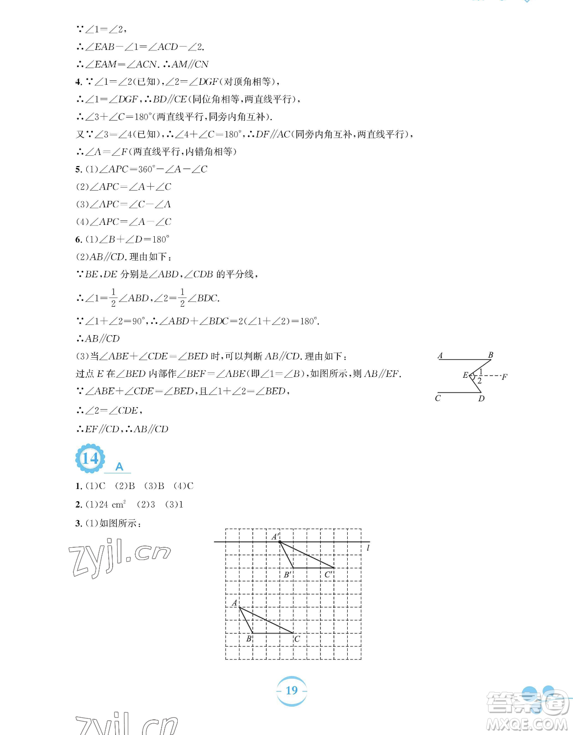 安徽教育出版社2023暑假作業(yè)七年級數學通用版S參考答案