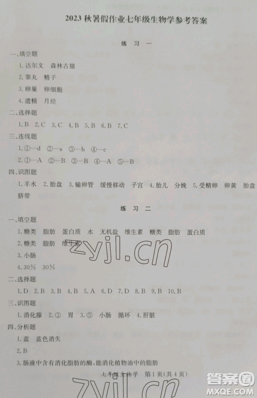 延邊教育出版社2023暑假作業(yè)七年級(jí)合訂本A版河南專版參考答案