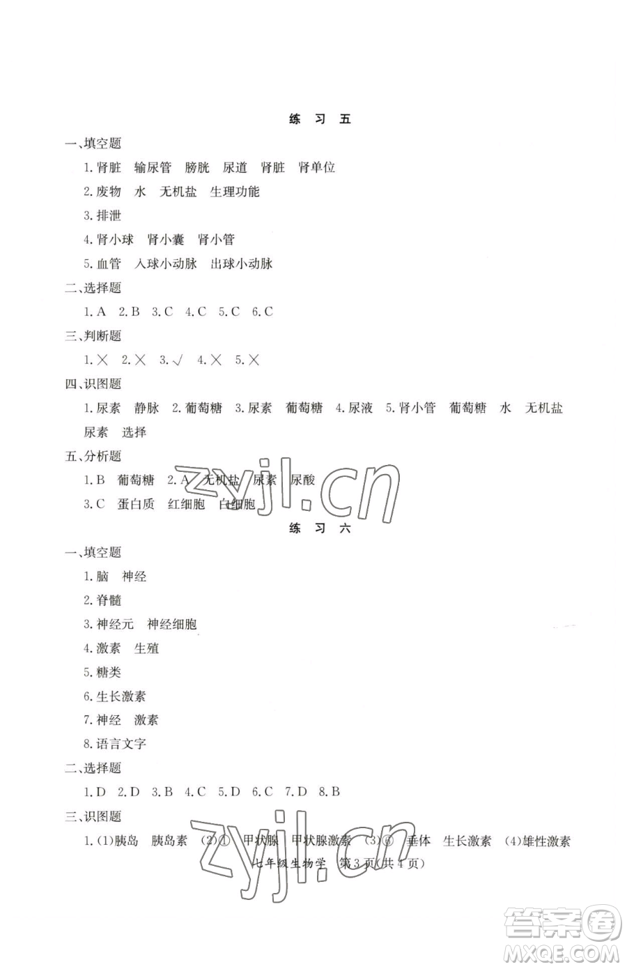 延邊教育出版社2023暑假作業(yè)七年級(jí)合訂本A版河南專版參考答案