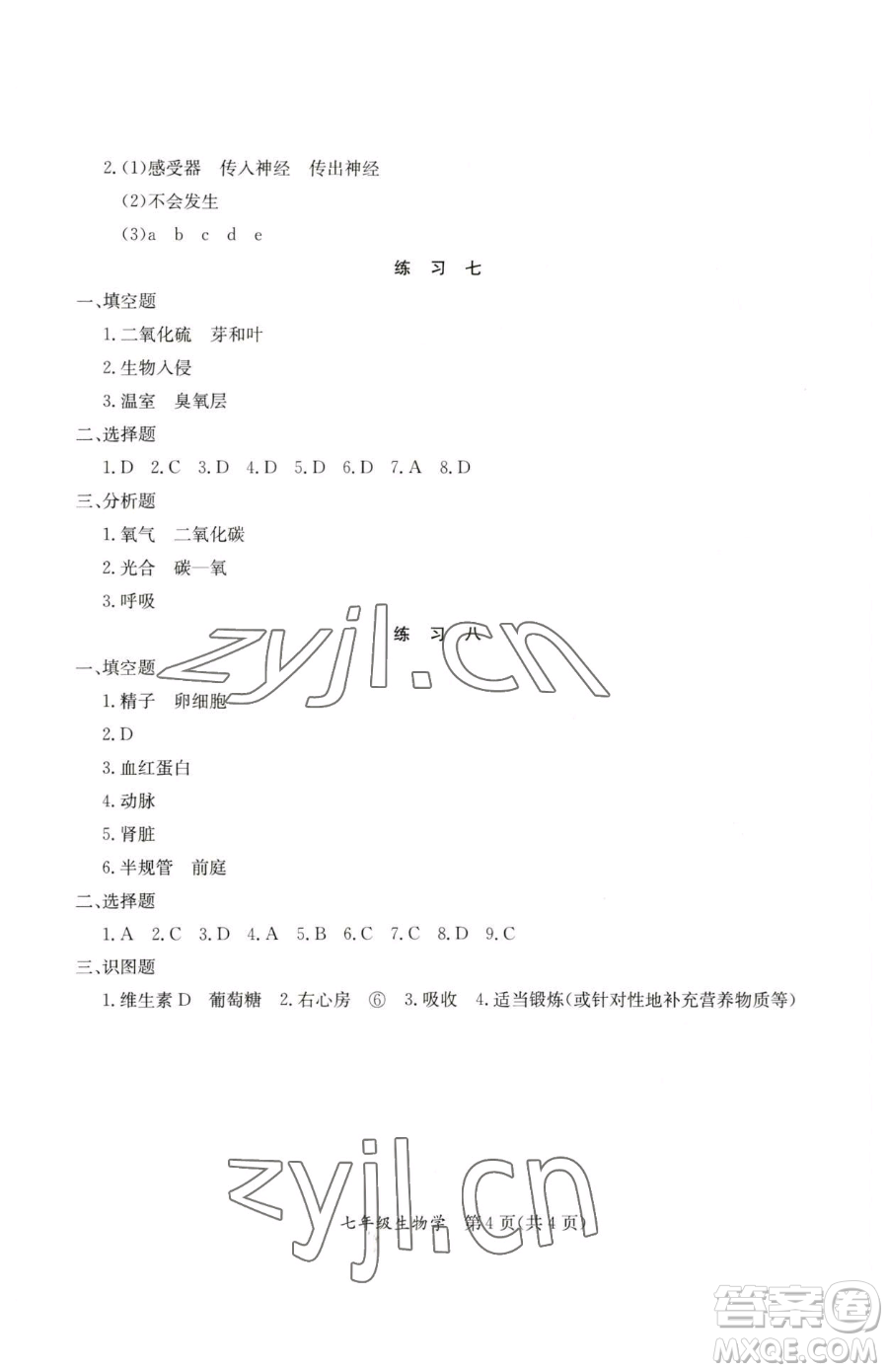 延邊教育出版社2023暑假作業(yè)七年級(jí)合訂本A版河南專版參考答案