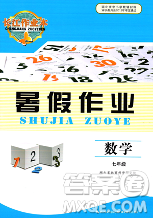 湖北教育出版社2023長江作業(yè)本暑假作業(yè)七年級數(shù)學(xué)通用版參考答案