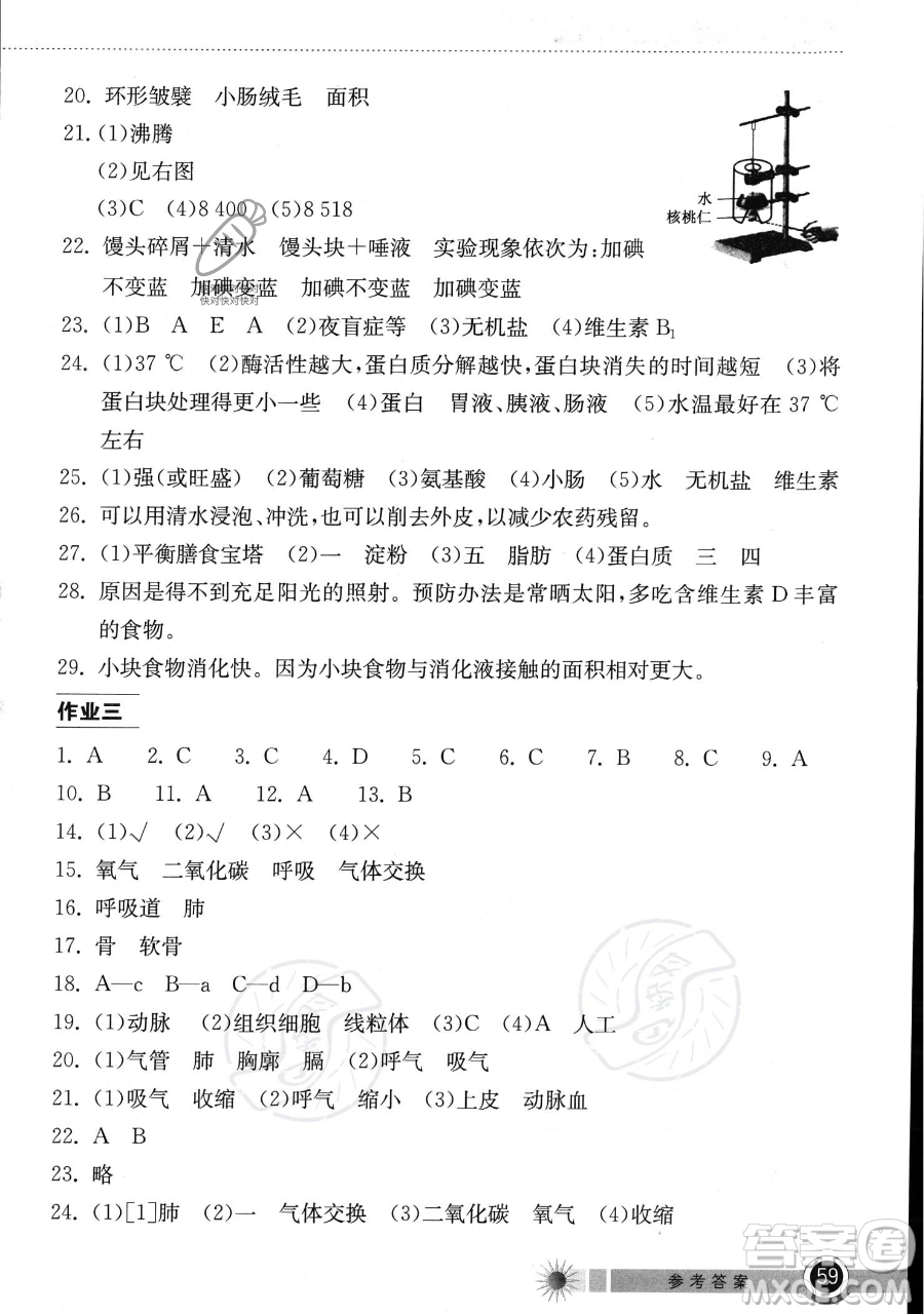 湖北教育出版社2023長(zhǎng)江作業(yè)本暑假作業(yè)七年級(jí)生物通用版參考答案