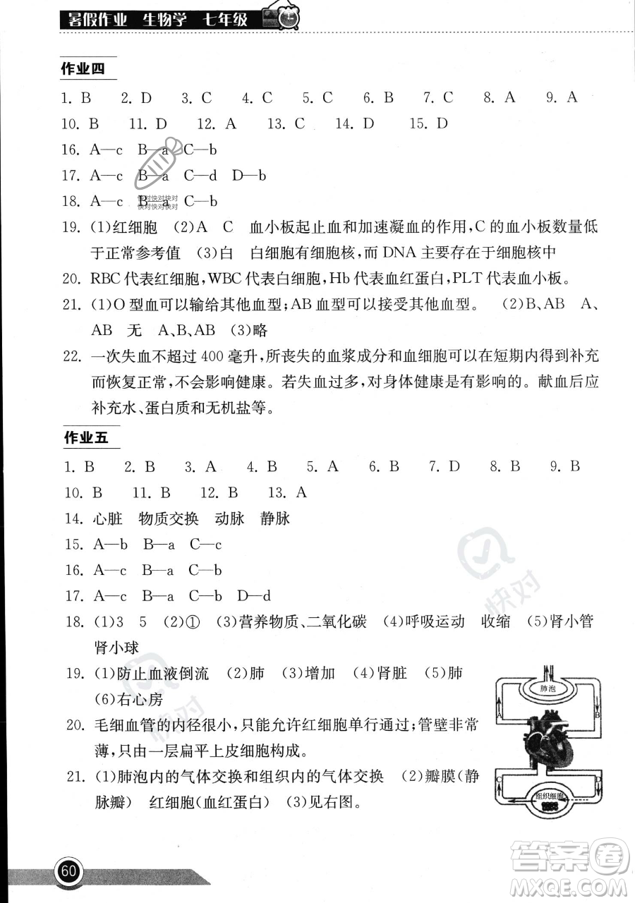 湖北教育出版社2023長(zhǎng)江作業(yè)本暑假作業(yè)七年級(jí)生物通用版參考答案