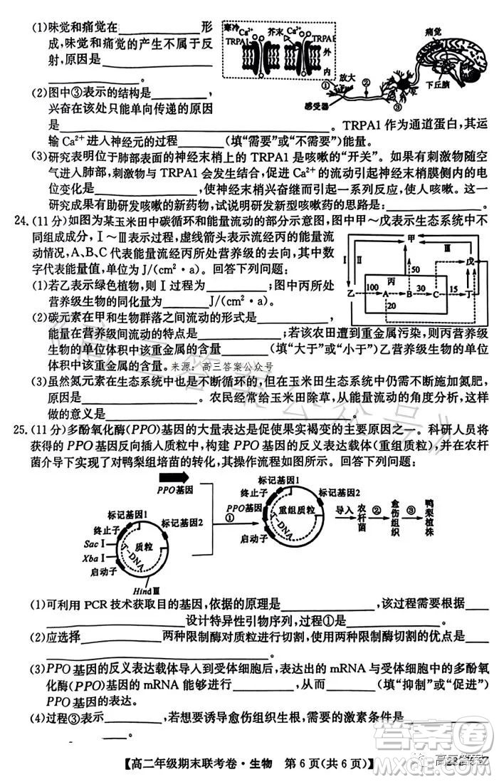 遼寧2023高二下學(xué)期期末聯(lián)考卷232755Z生物學(xué)試卷答案