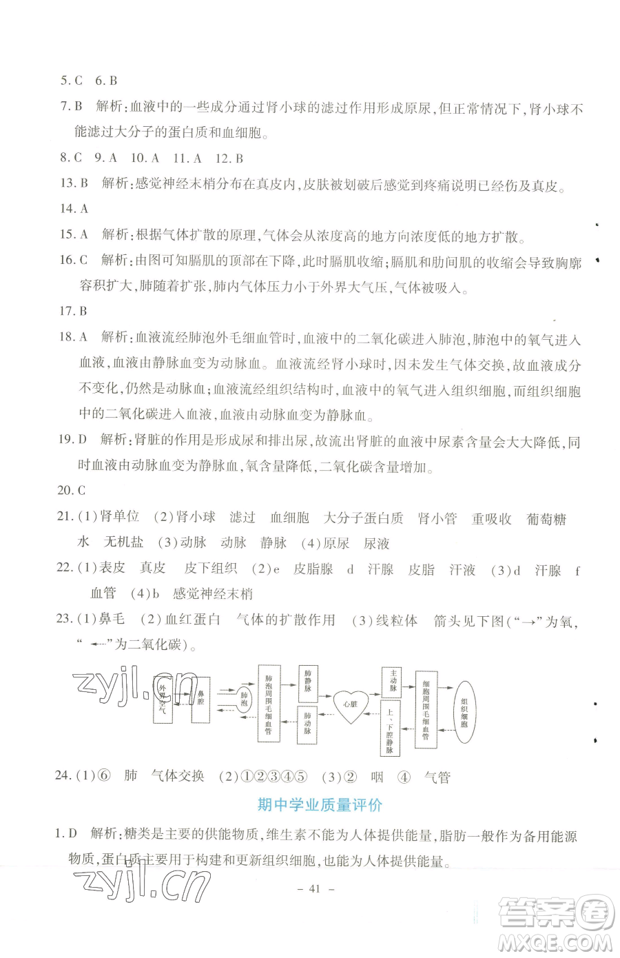 北京師范大學(xué)出版社2023課內(nèi)課外直通車七年級(jí)下冊(cè)生物北師大版福建專版參考答案