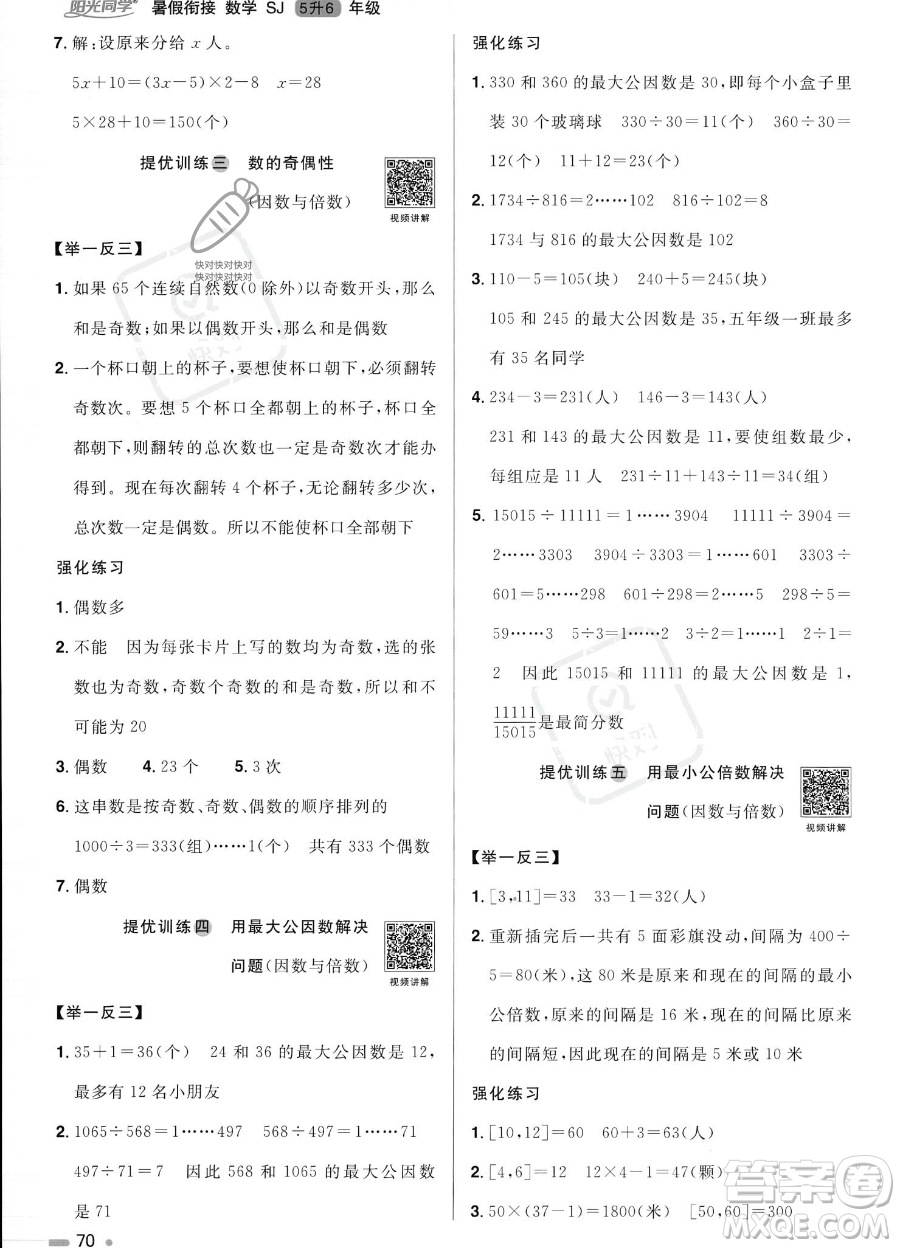 江西教育出版社2023陽光同學(xué)暑假銜接5升6數(shù)學(xué)蘇教版答案