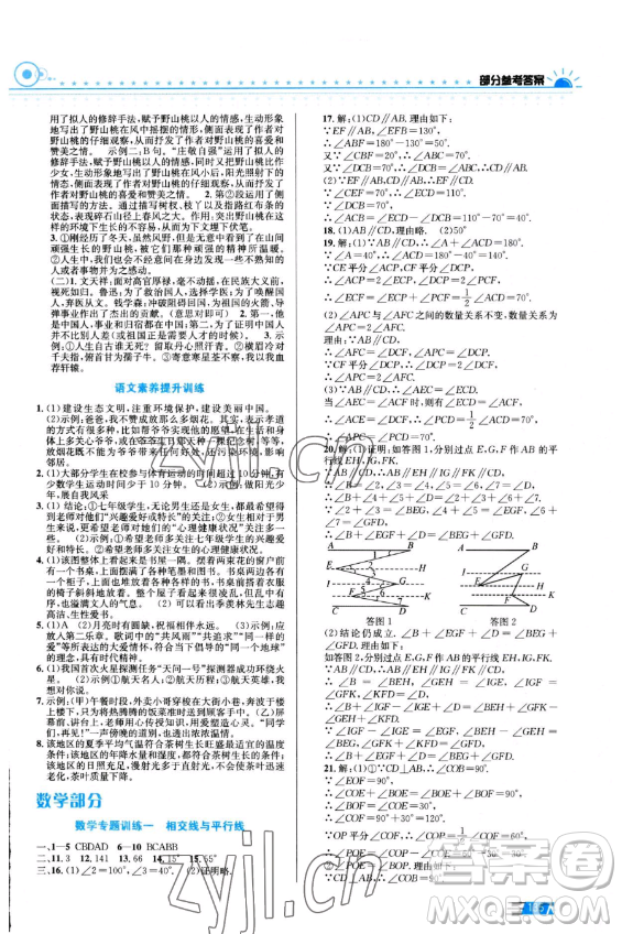 安徽科學(xué)技術(shù)出版社2023年暑假生活七年級合訂本通用版答案