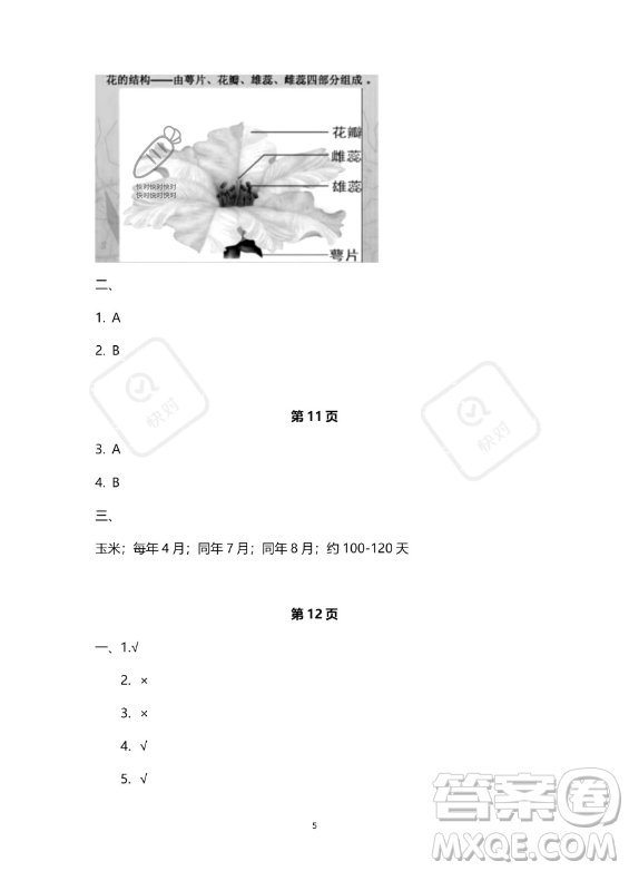 教育科學出版社2023年暑假作業(yè)四年級科學教科版答案