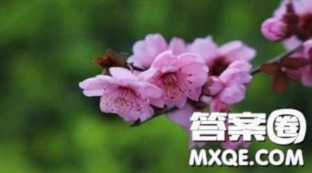 喊出幸福的名字為題作文600字 關于喊出幸福的名字為題的作文600字