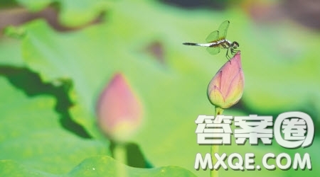 你聽(tīng)為題作文600字 以你聽(tīng)為題目的作文600字