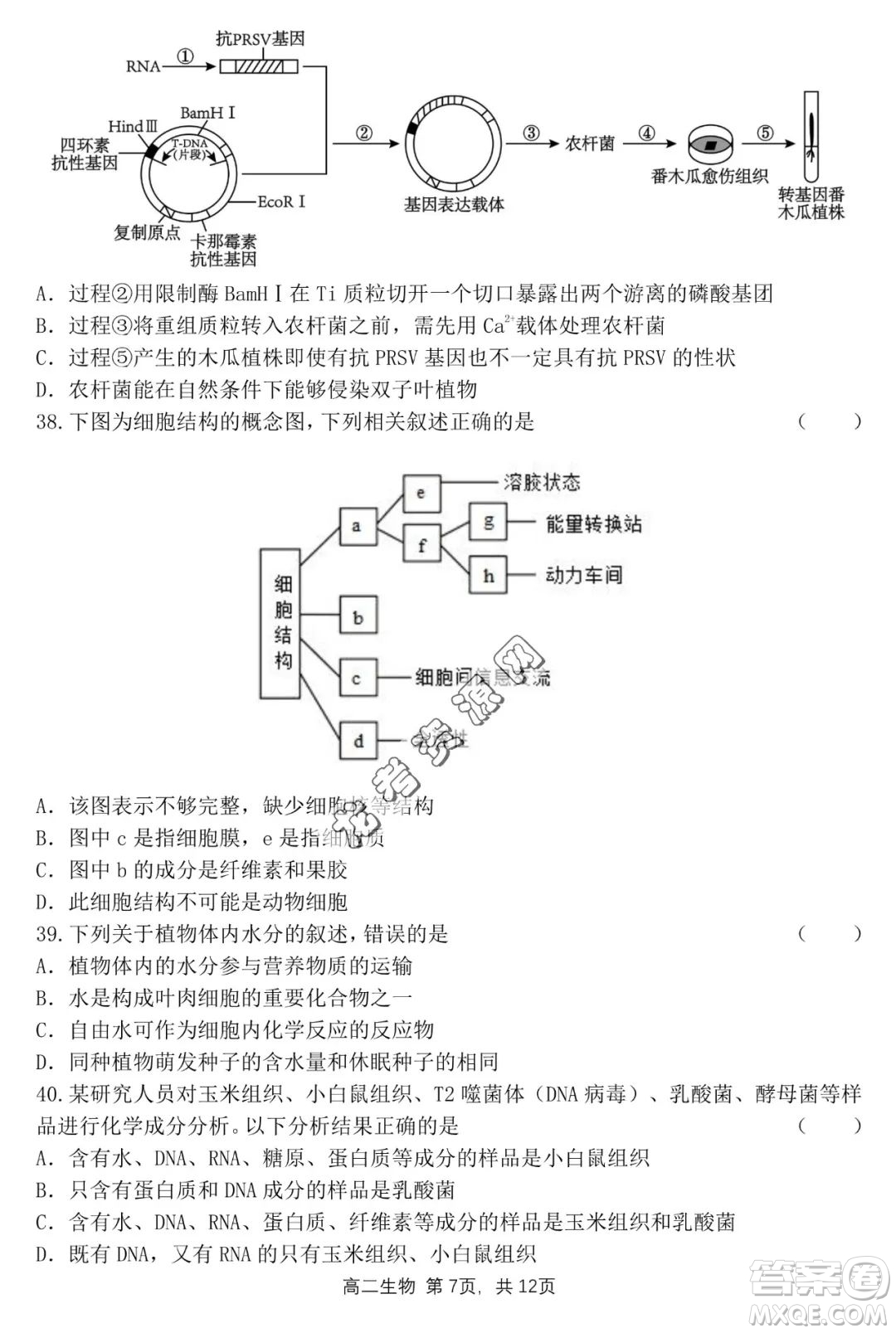 哈三中2022—2023學年高二下學期期末考試生物試卷答案