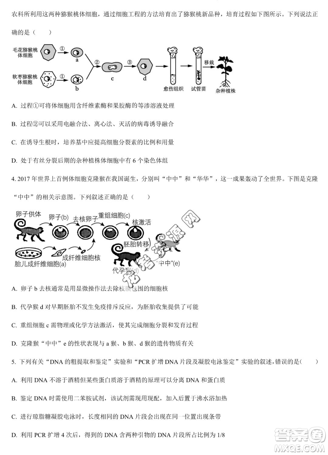 大慶實驗中學(xué)2022-2023學(xué)年高二下學(xué)期期末考試生物試題答案