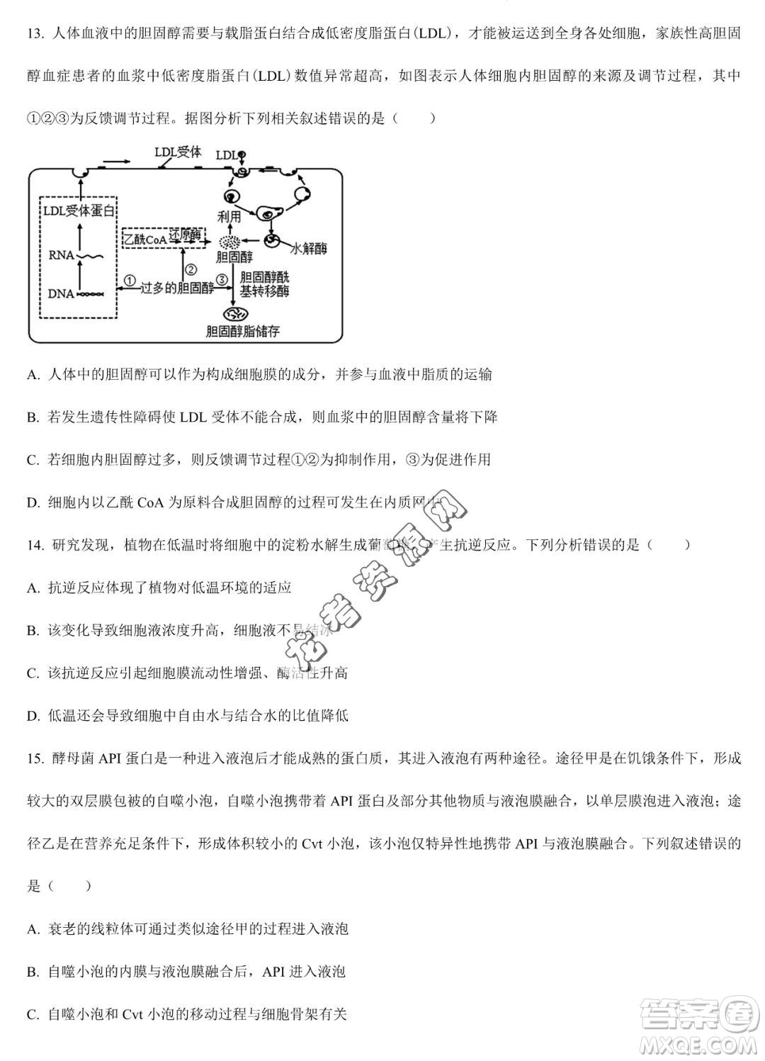 大慶實驗中學(xué)2022-2023學(xué)年高二下學(xué)期期末考試生物試題答案