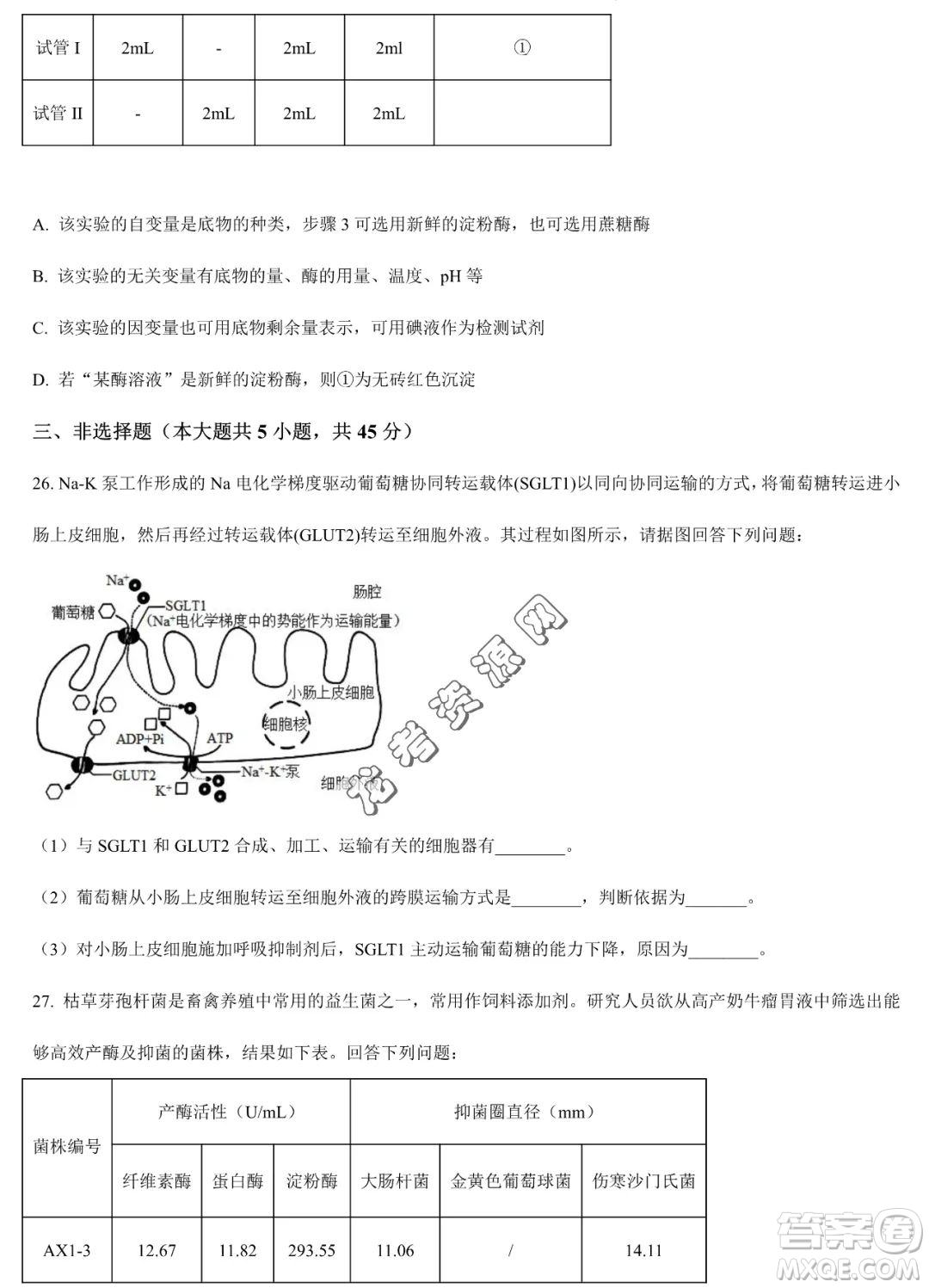 大慶實驗中學(xué)2022-2023學(xué)年高二下學(xué)期期末考試生物試題答案
