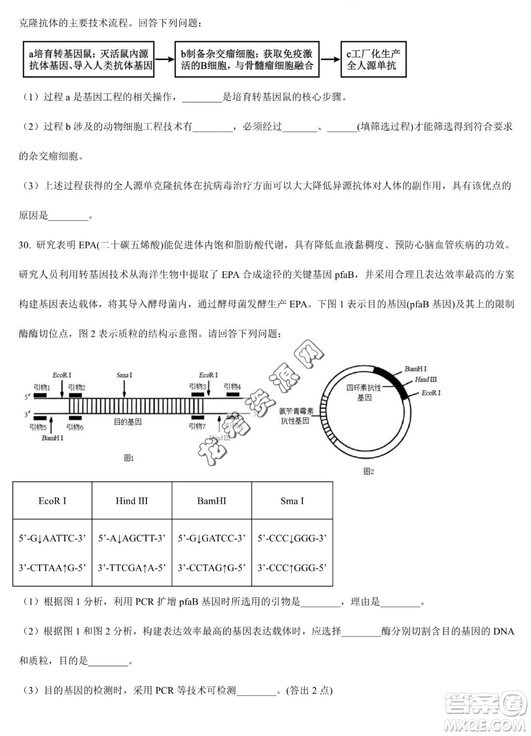 大慶實驗中學(xué)2022-2023學(xué)年高二下學(xué)期期末考試生物試題答案