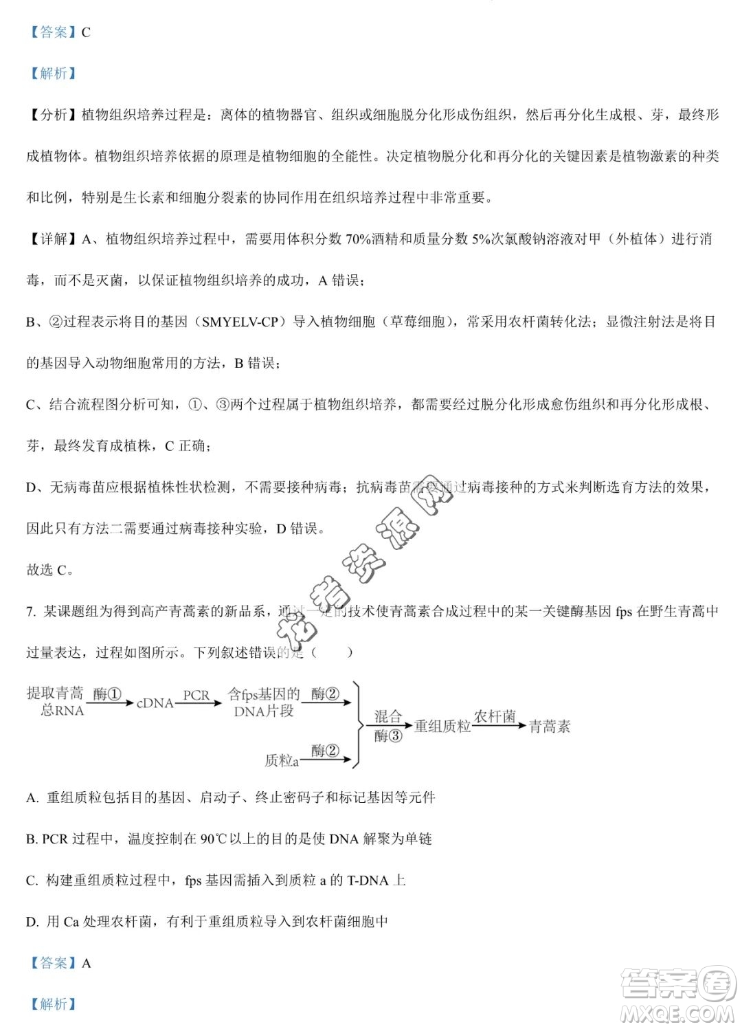 大慶實驗中學(xué)2022-2023學(xué)年高二下學(xué)期期末考試生物試題答案