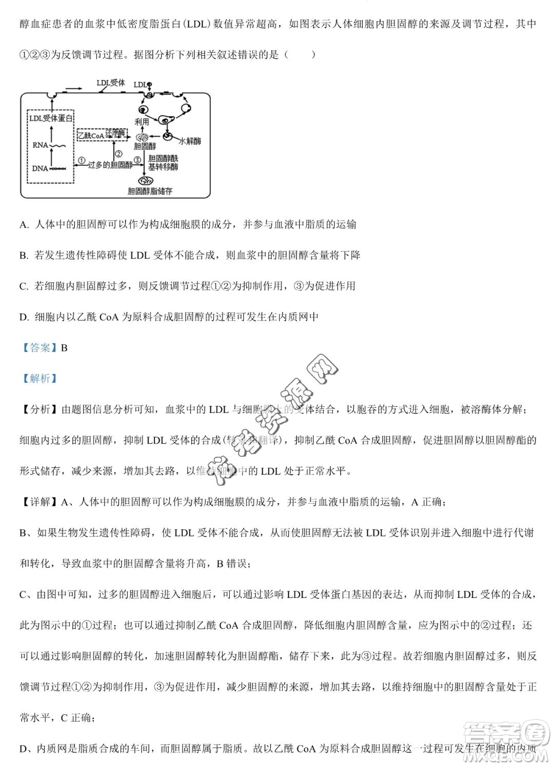 大慶實驗中學(xué)2022-2023學(xué)年高二下學(xué)期期末考試生物試題答案