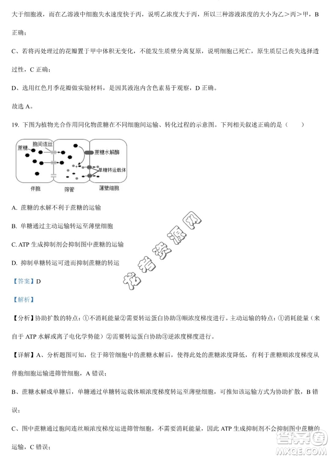 大慶實驗中學(xué)2022-2023學(xué)年高二下學(xué)期期末考試生物試題答案