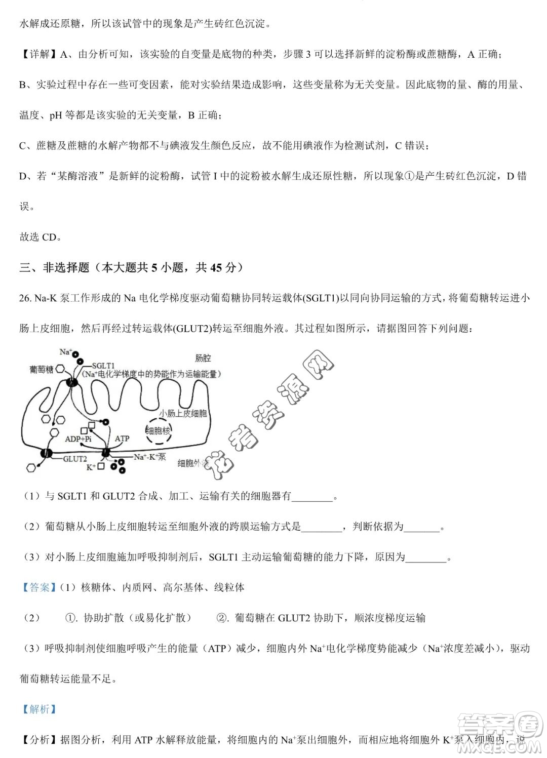 大慶實驗中學(xué)2022-2023學(xué)年高二下學(xué)期期末考試生物試題答案