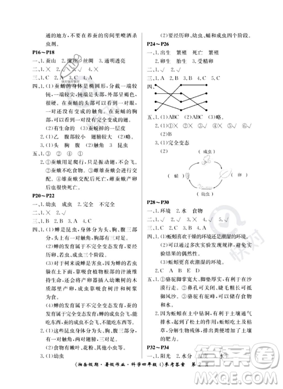 湖南大學出版社2023湘岳假期暑假作業(yè)四年級科學通用版答案