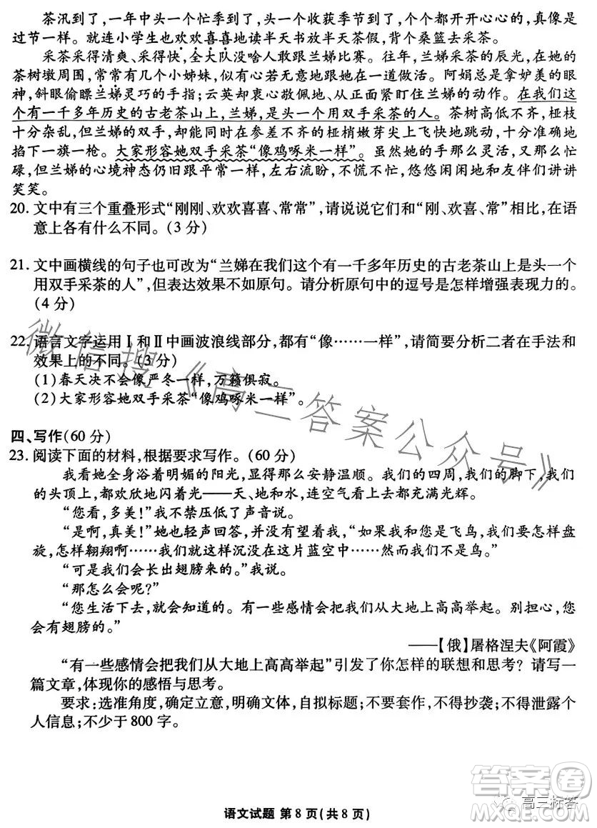 2024屆新高三開學聯(lián)考語文試卷答案