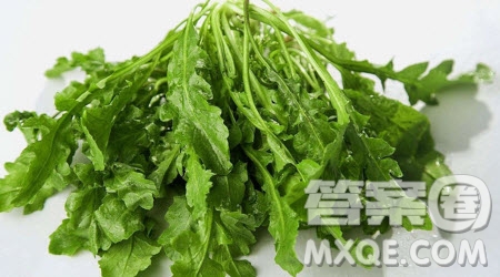春天的味道記敘文作文600字 關(guān)于春天的味道的記敘文作文600字