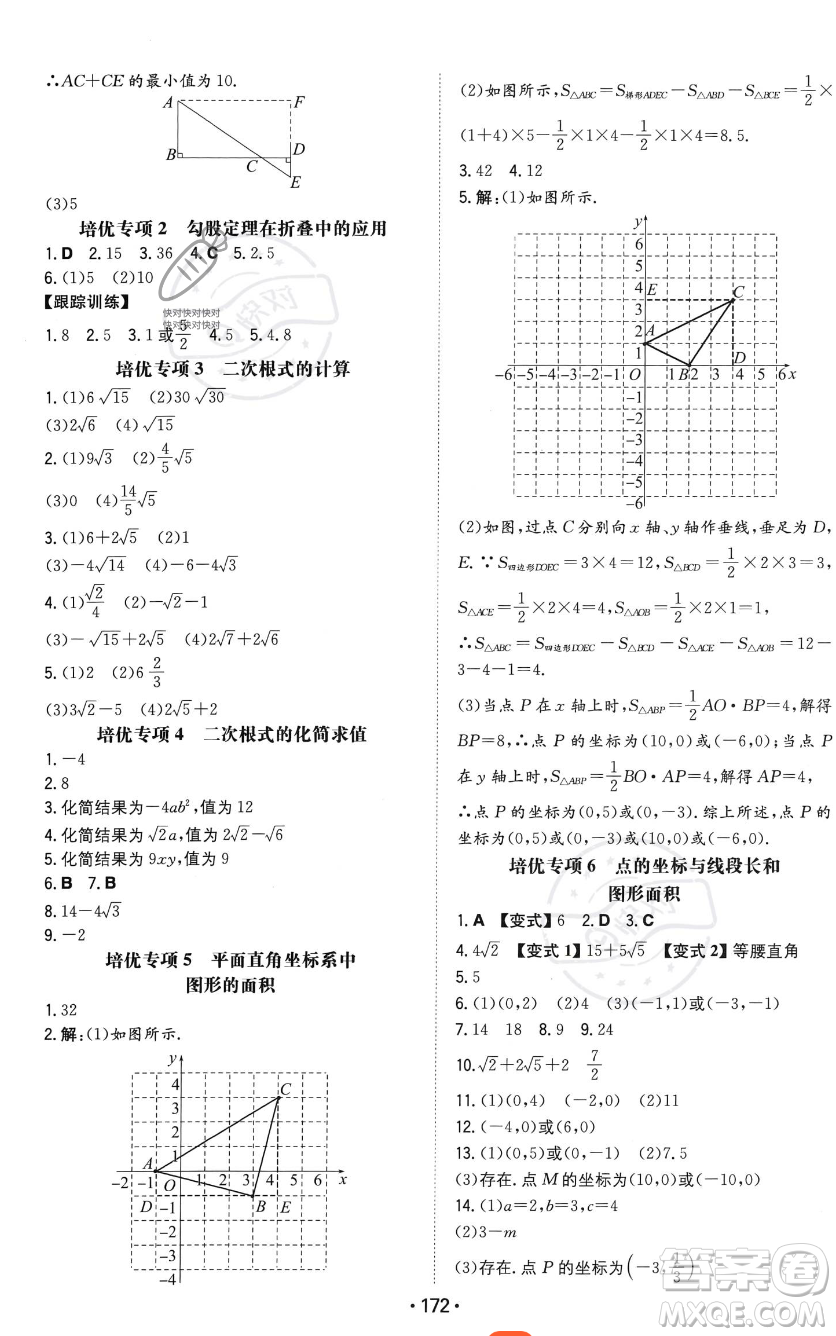 湖南教育出版社2023年一本同步訓練八年級上冊數(shù)學北師大版答案