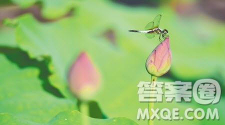 新學期新打算作文600字 關于新學期新打算的作文600字
