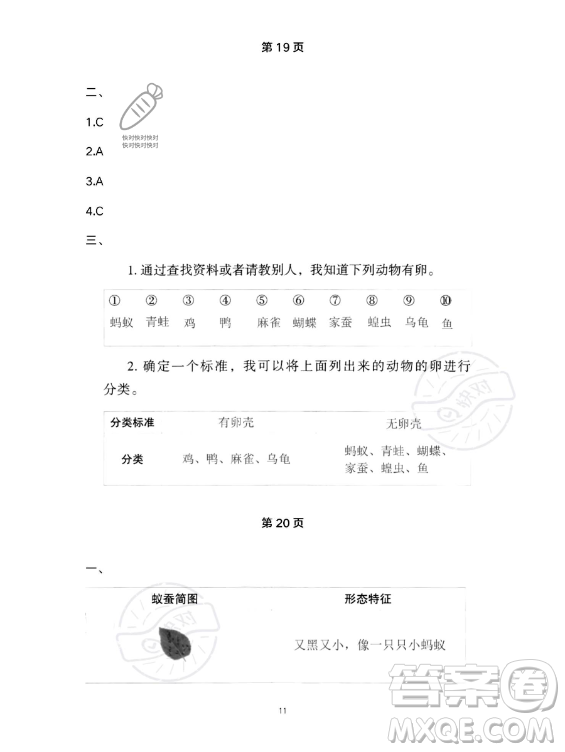 教育科學(xué)出版社2023年暑假作業(yè)三年級(jí)科學(xué)教科版答案