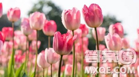溫暖的滋味為題作文400字 關(guān)于溫暖的滋味為題目的作文400字