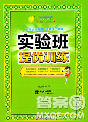 江蘇人民出版社2023實(shí)驗(yàn)班提優(yōu)訓(xùn)練六年級(jí)上冊(cè)數(shù)學(xué)人教版答案