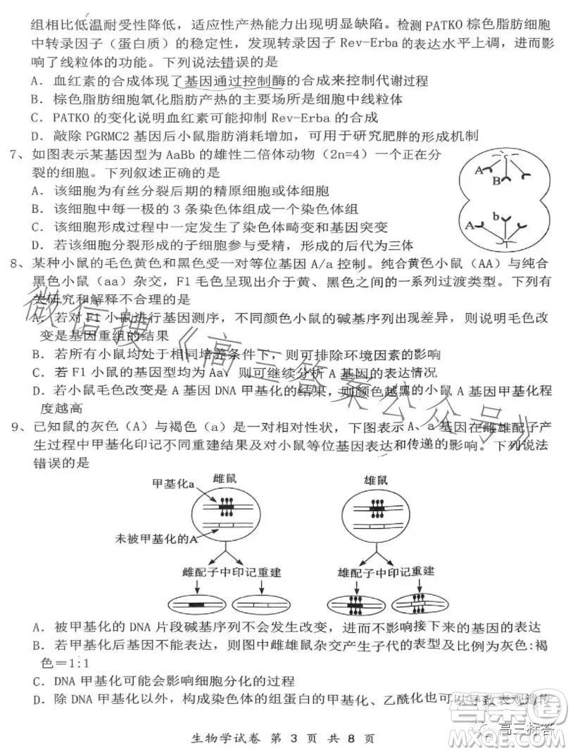 騰云聯(lián)盟2023-2024學(xué)年度上學(xué)期高三年級八月聯(lián)考生物試卷答案