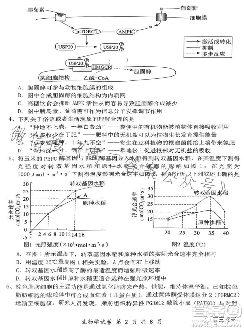 騰云聯(lián)盟2023-2024學(xué)年度上學(xué)期高三年級八月聯(lián)考生物試卷答案
