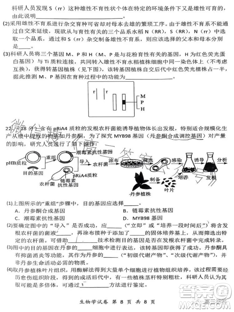 騰云聯(lián)盟2023-2024學(xué)年度上學(xué)期高三年級八月聯(lián)考生物試卷答案
