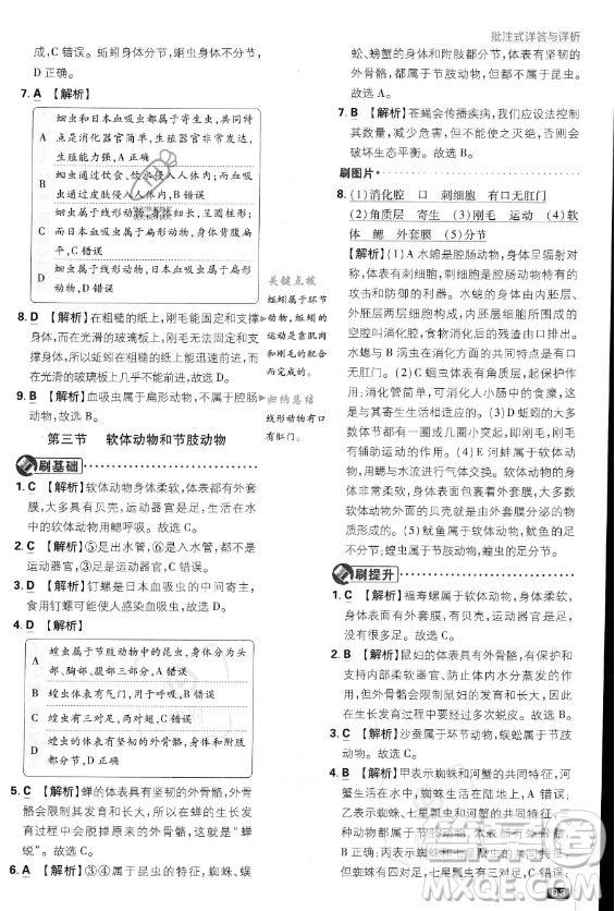 開(kāi)明出版社2024屆初中必刷題八年級(jí)上冊(cè)生物人教版答案