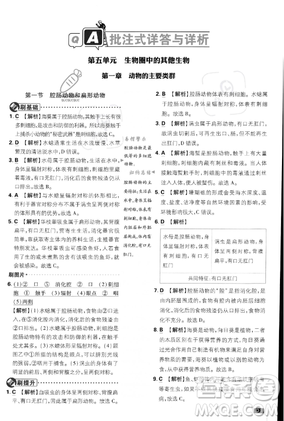 開(kāi)明出版社2024屆初中必刷題八年級(jí)上冊(cè)生物人教版答案