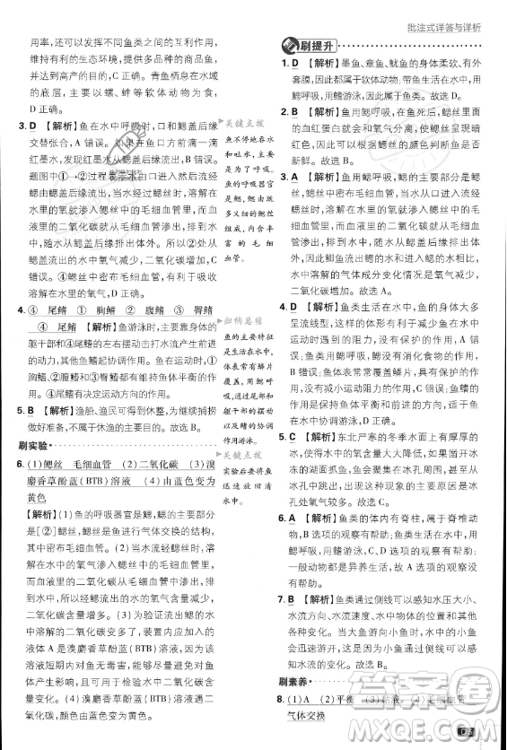 開(kāi)明出版社2024屆初中必刷題八年級(jí)上冊(cè)生物人教版答案