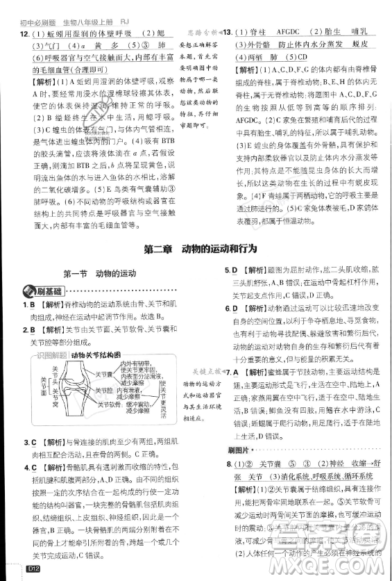 開(kāi)明出版社2024屆初中必刷題八年級(jí)上冊(cè)生物人教版答案