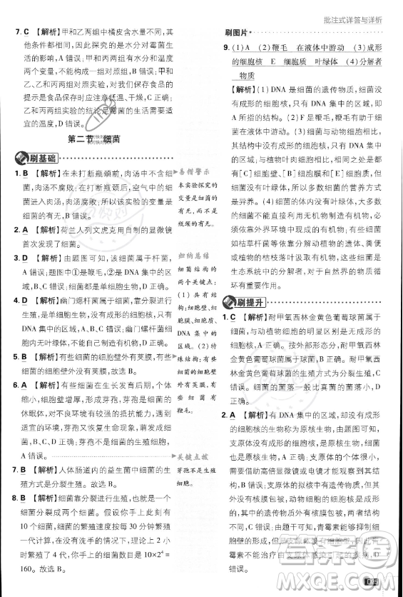 開(kāi)明出版社2024屆初中必刷題八年級(jí)上冊(cè)生物人教版答案